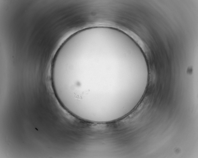 X0000103301006200809191849