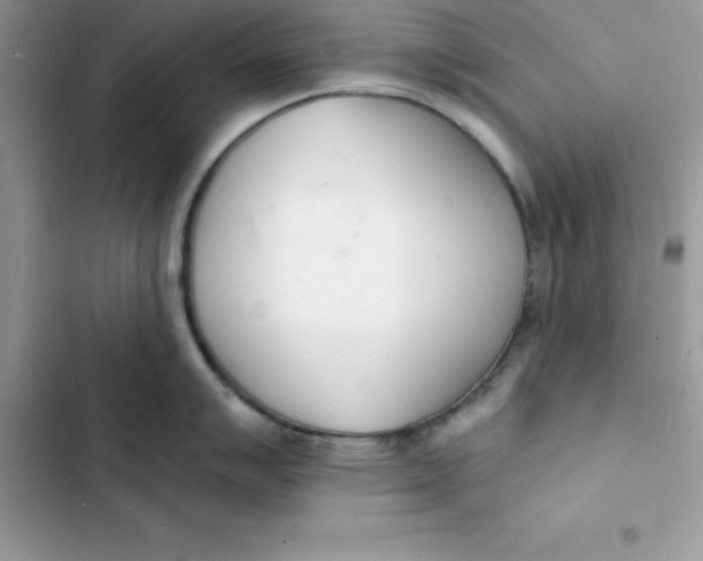 X0000103301007200809191849