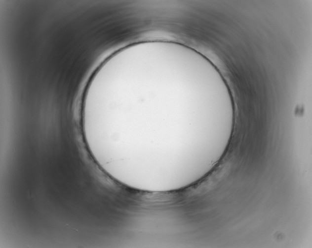 X0000103301008200809191849