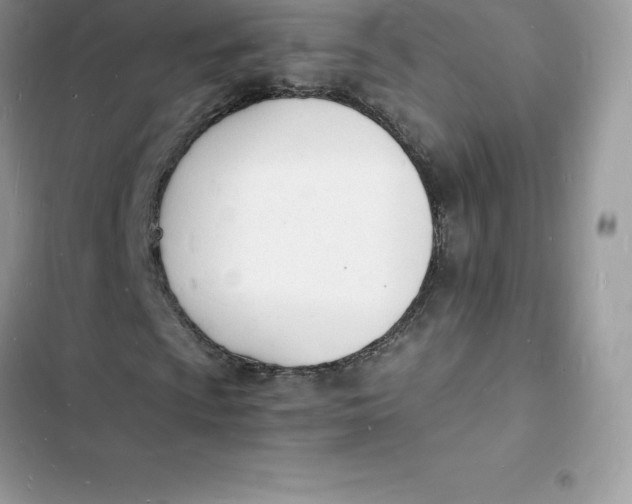 X0000103301009200809191849