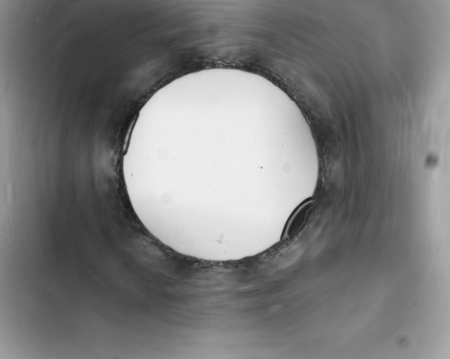 X0000103301010200809191849