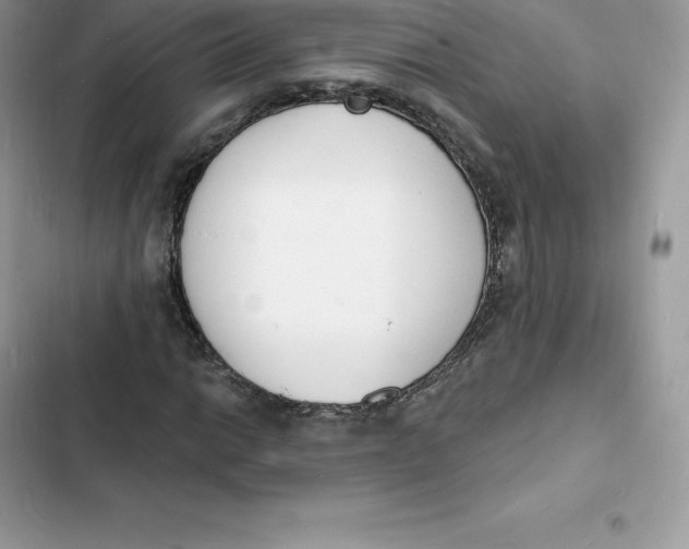 X0000103301014200809191849