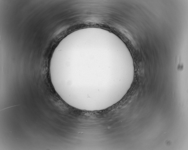 X0000103301015200809191849