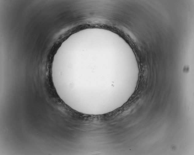 X0000103301016200809191849