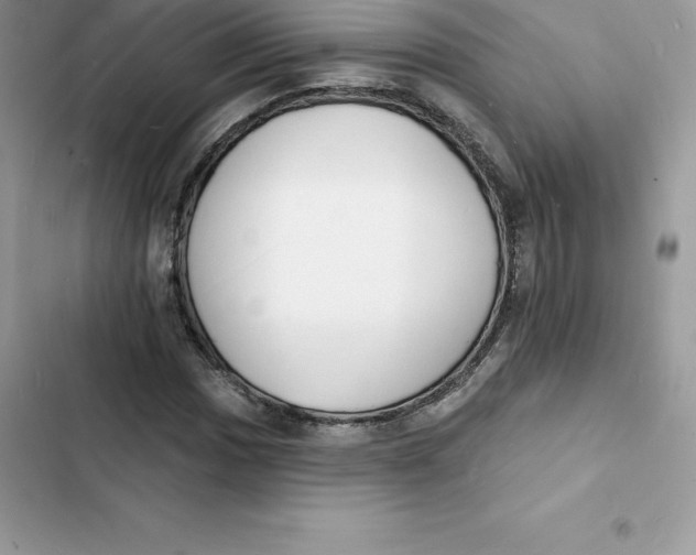 X0000103301017200809191849