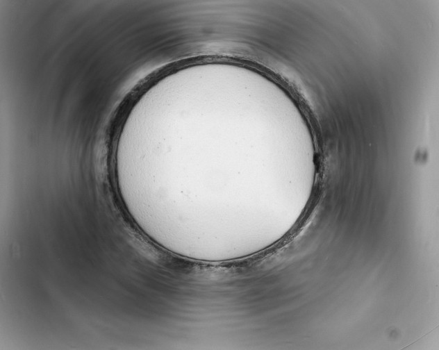 X0000103301019200809191849