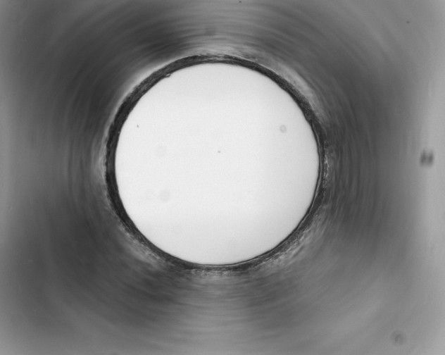 X0000103301020200809191849