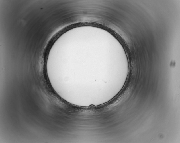 X0000103301021200809191849