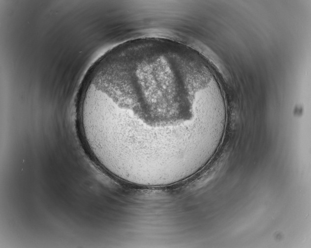 X0000103301024200809191849