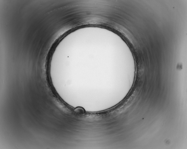 X0000103301026200809191849