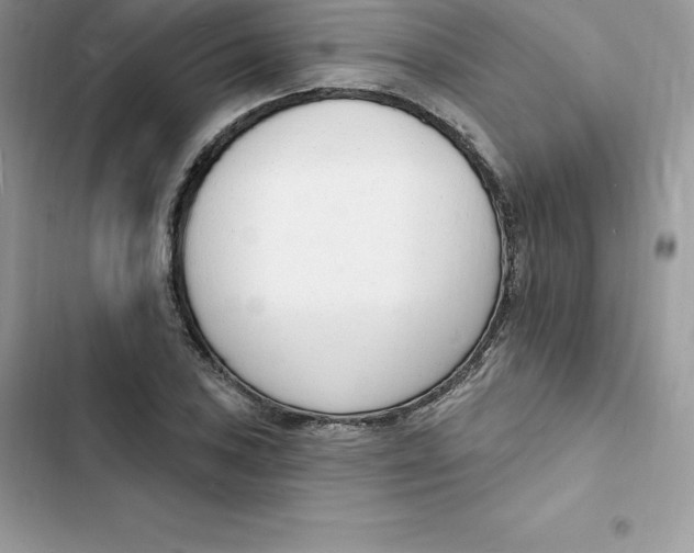 X0000103301027200809191849