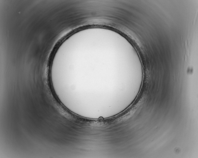 X0000103301029200809191849