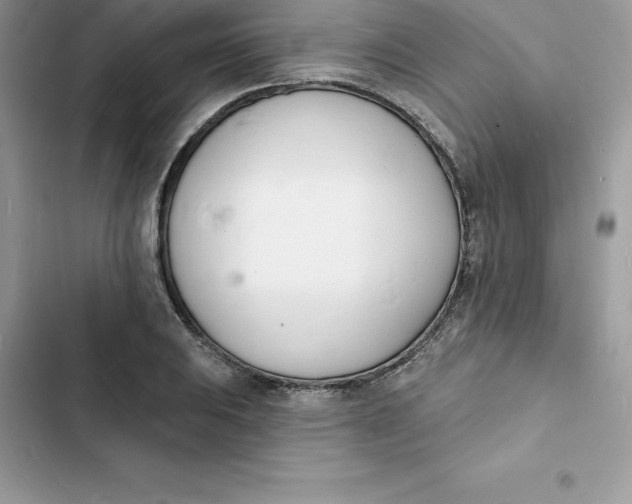 X0000103301031200809191849