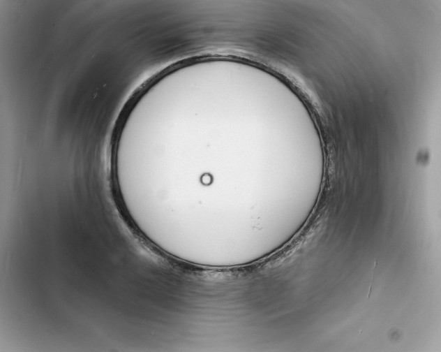 X0000103301032200809191849