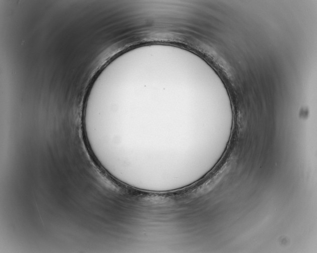 X0000103301033200809191849