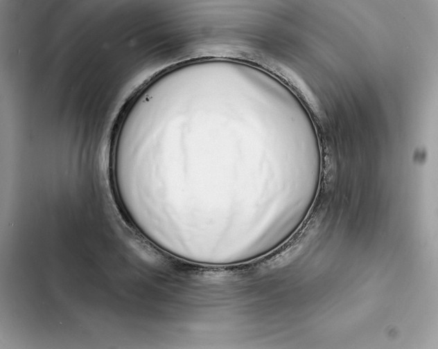 X0000103301035200809191849