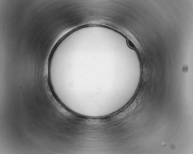 X0000103301036200809191849