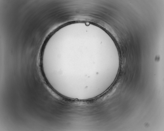 X0000103301037200809191849