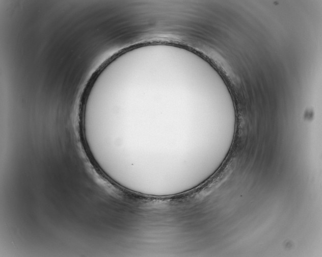 X0000103301038200809191849