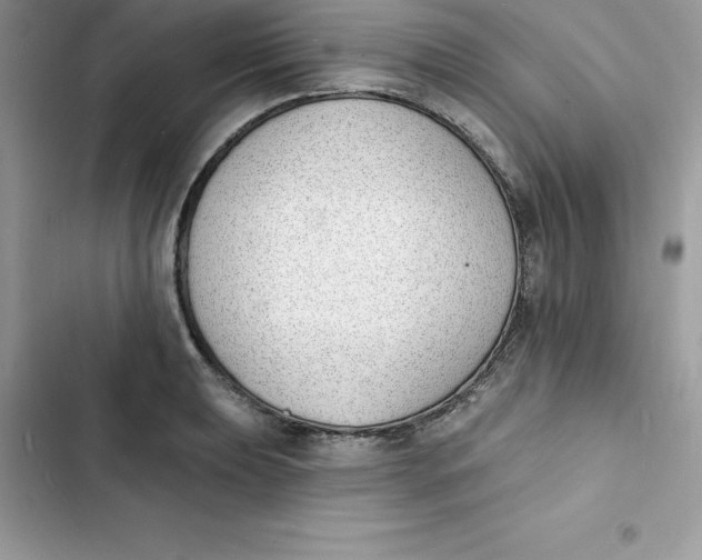 X0000103301039200809191849