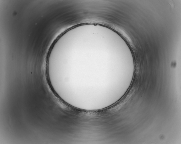 X0000103301040200809191849