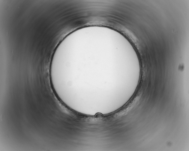 X0000103301041200809191849