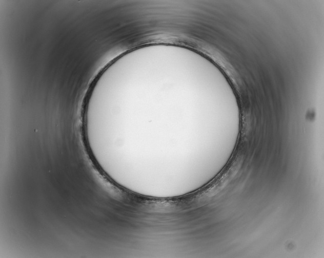 X0000103301042200809191849