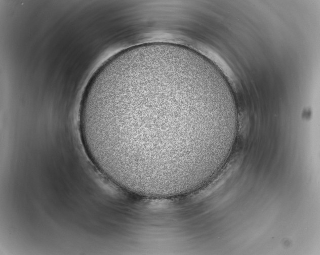 X0000103301043200809191849