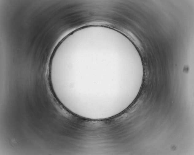 X0000103301044200809191849