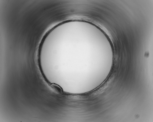 X0000103301045200809191849