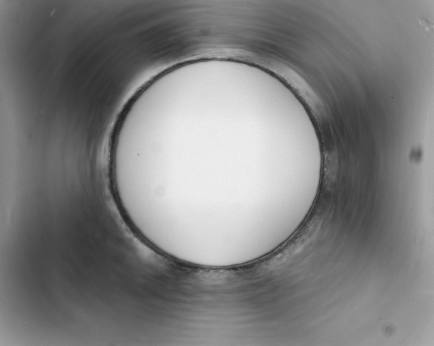 X0000103301046200809191849