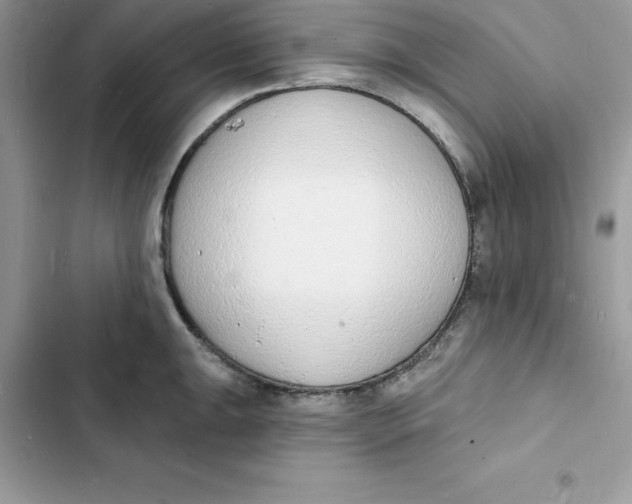 X0000103301047200809191849