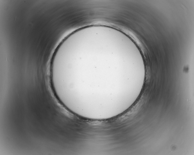 X0000103301048200809191849