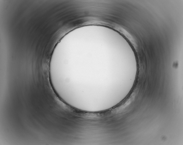 X0000103301049200809191849