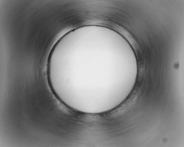 X0000103301050200809191849