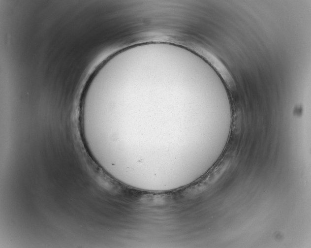 X0000103301051200809191849