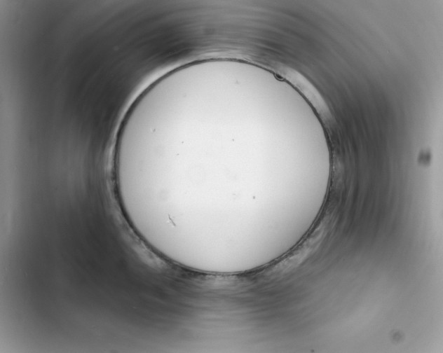 X0000103301052200809191849