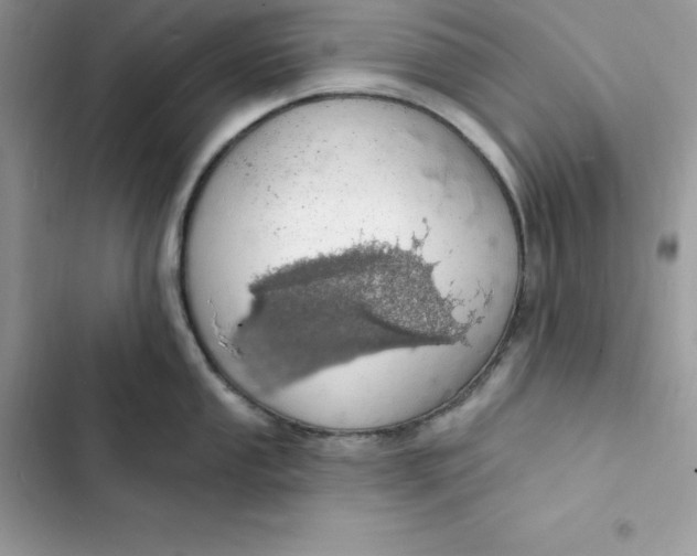 X0000103301053200809191849