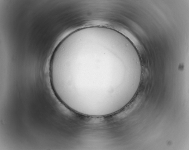 X0000103301055200809191849