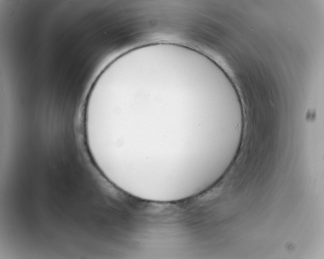 X0000103301056200809191849