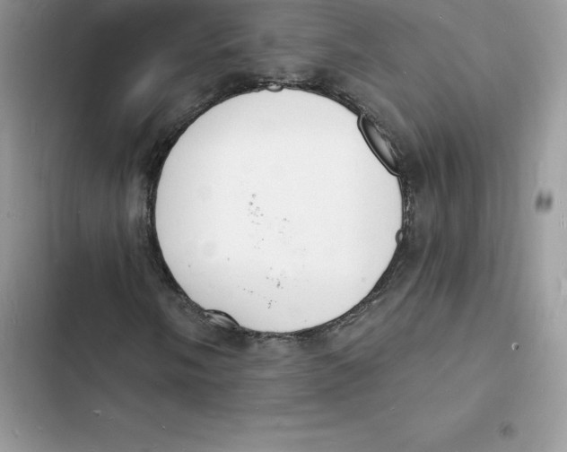 X0000103301058200809191849