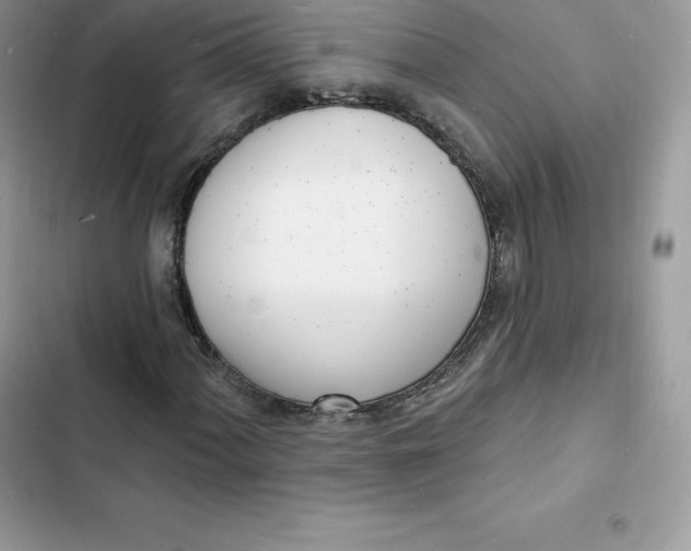 X0000103301060200809191849