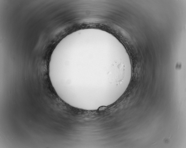 X0000103301062200809191848