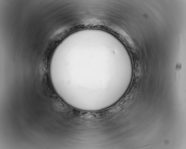 X0000103301063200809191848