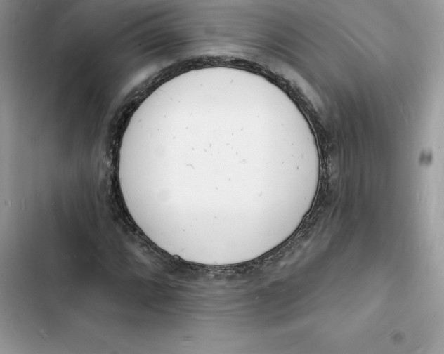 X0000103301064200809191848