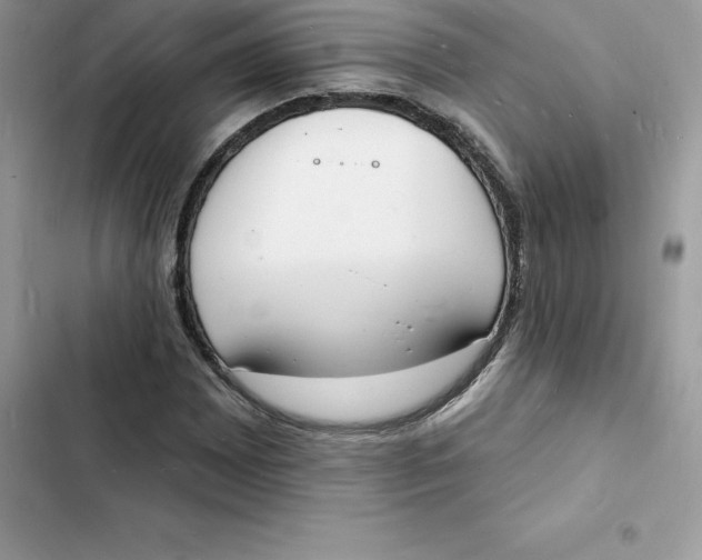 X0000103301065200809191848