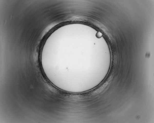 X0000103301066200809191848