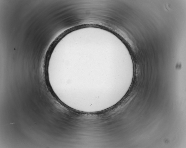 X0000103301068200809191848