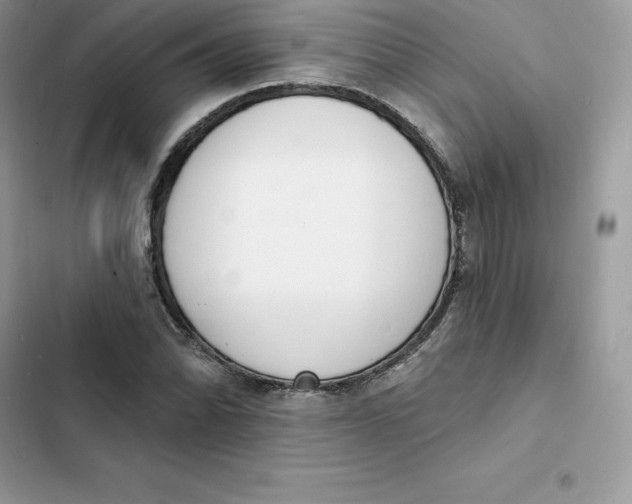 X0000103301070200809191848