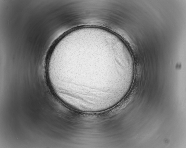 X0000103301071200809191848